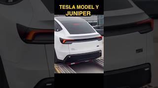 JUNIPER MODEL Y TESLA I 테슬라 모델y 주니퍼 2025