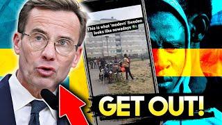 SWEDEN  wants ALL African MIGRANTS out of Their Country for THIS REASON!