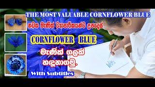 THE MOST VALUBLE CORNFLOWER GEMS IN SRI LANKA