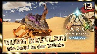 Scorched Earth ⭐ 13: Die Dung Beetle Jagd in der Wüste | ARK Survival Ascended | #Doctendo