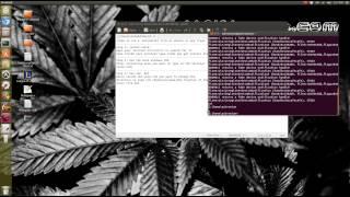 How to run .bat(Batch) Files on Linux (Ubuntu)