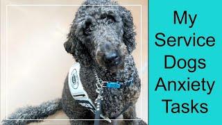 My Service Dogs Tasks For Anxiety