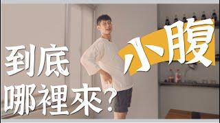 有小腹不是胖！小腹到底哪裡來？｜迷思破解