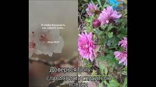 ЛЮБИ ГОСПОДА БОГА#Бог #рек #германия #видео #bible #доверься #покаяниеметанойя #лайк #germany #gott