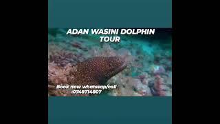 Wasini islanda enjoy your day with us WASINI KENYA HAKUNA MATATA welcome all 