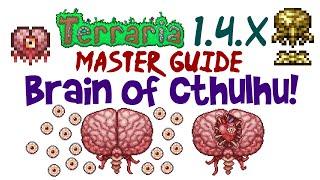 Terraria 1.4+ Brain of Cthulhu Expert & Master Mode Boss Fight Guide! (Spawn/Summon Item, Arena)