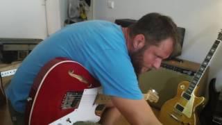 Laney LC30  modded by zvenamp