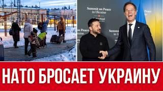 НАТО ОТКАЗАЛОСЬ ОТ УКРАИНЫ // УКРАИНЦЕВ ОТПРАВЛЯЮТ ДОМОЙ ИЗ США / РЕСУРСЫ УКРАИНЫ ДОСТАНУТСЯ АМЕРИКЕ