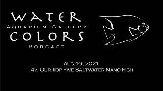 47. Our Top Five Saltwater Nano Fish