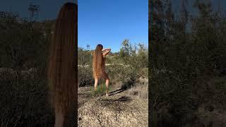 Long hair girl #longhair #longhairgirl #hair #girl #shorts #short #shortvideo #youtubeshorts #fun