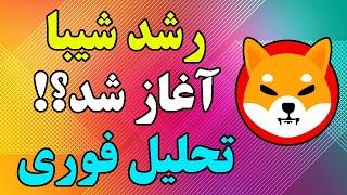 پامپ شیبا آغاز شد؟!؟