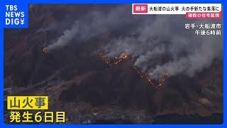 大船渡山火事発生6日目…火の手が新たな集落に　複数の住宅延焼　“大型の放水砲”「ドラゴンハイパー」山火事に初出動　入試直前で「勉強できない」受験生も【news23】｜TBS NEWS DIG