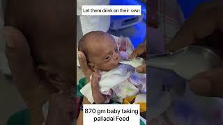 How to feed a preterm  newborn | 870 gm baby taking feed #shorts #newborn #babyfeeding