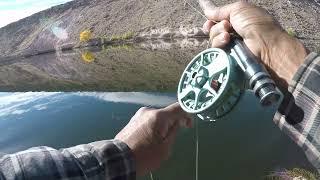 An Unexpected Catch at Pleasant Valley Reservoir( Eastern Sierra)