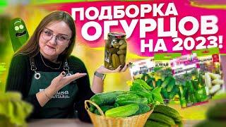 СОРТА ОГУРЦОВ ДЛЯ ТЕПЛИЦЫ И ОТКРЫТОГО ГРУНТА НА 2023 ОТ Семена Алтая!