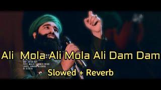 ALI MOLA ALI DAM DAM ( Slowed And Reverb ) | Sultan Ul Qadria Qawwal | Slowed & Reverb Lover