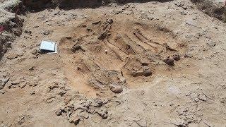 Batavia's mysteries unfold with discovery of mass grave