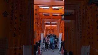 Fushimi Inari Taisha Shrine #kyoto #japan