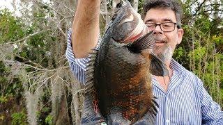 Fishing for exotics in the Florida Everglades - You won't believe how much fish is out there!