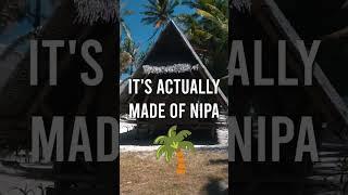 I slept in a FILIPINO NIPA HUT  on a REMOTE ISLAND in the PHILIPPINES 