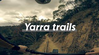 Yarra Trails - Awesome XC single track in the middle of Melbourne