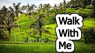 Exploring a Tropical Farming field –Walk With Me Part 1