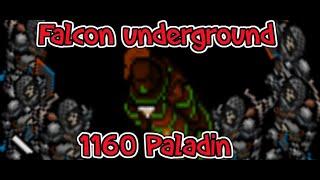 Falcon underground - 7.8 kk raw exp and 2.4kk profit