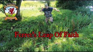 The Ferret's Leap Of Faith #shorts #cacapoopoo #Ringuspullus