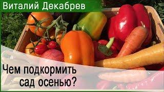 Чем подкормить сад осенью? Работы на даче в сентябре. Виталий Декабрев.
