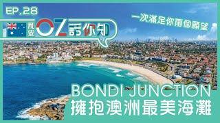 【利安OZ話你知】Bondi Junction擁抱澳洲最美海灘