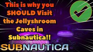 Why you SHOULD Visit the Jellyshroom Caves in Subnautica #subnautica #gaming