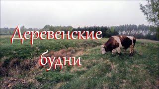 Засуха. Чищу речку. Вернулась к обшивке стены.