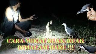 BERBURU BURUNG RUAK-RUAK MALAM HARI//SANGAT MUDAH DITANGKAP..!!!@ivanfirmansyah2084