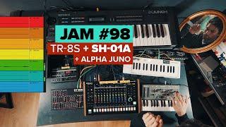 Jam 098 Oldschool Techno on Roland TR-8S, SH-01A, Alpha Juno