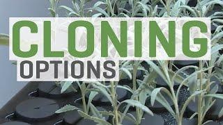 Cloning Plants—You Have Options!