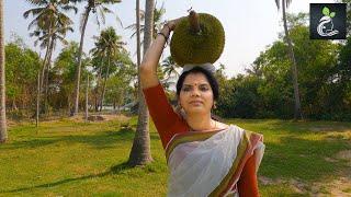 Kerala Tender Jackfruit Recipes | Life in Wetland | Village Life | Short Version | Village Kitchen.