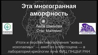 Итоги и перспективы изучения амеб из плейстоцена. Часть 1. Стас Малявин, ФИЦ ПНЦБИ РАН, 17.04.2020