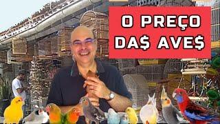 Quanto custa cada ave ? - PREÇO das AVES na FEIRA - Quanto custa cada ave $$ ? #passaros