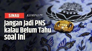 Sebelum Akses Informasi Pendaftaran CPNS 2024, Wajib Tahu Pangkat dan Gaji PNS Berikut | SINAU