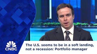 The U.S. seems to be in a soft landing, not a recession: Portfolio manager