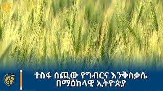 ተስፋ ሰጪው የግብርና እንቅስቃሴ በማዕከላዊ ኢትዮጵያ