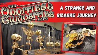 THE ODDITIES & CURIOSITIES EXPO - A Strange & Bizarre Journey for the Unusual - San Diego 2022