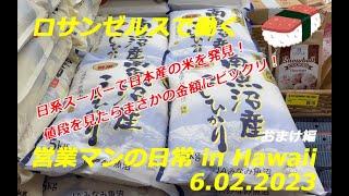 ロサンゼルスで働く営業マンの日常　その5 20数年ぶりにハワイに行ってみたら、ハワイとロサンゼルスの比較がよくできた。（おまけ編）