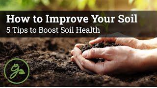 How to Improve Your Soil / 5 Tips to Boost Soil Health