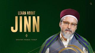 THERE ARE NO ALIENS ! It's the Jinns abducts people | Shaykh Hamza Yusuf