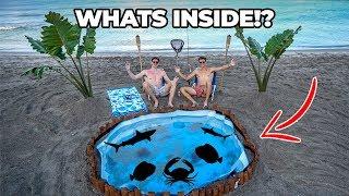 600 GALLON BEACH POND... (what’s inside?)