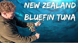 EPIC Bluefin TUNA Fishing - CATCH FILLET COOK