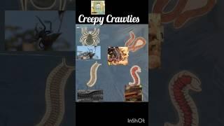 Creepy Crawlies l Scientific Thinking concepts l General Awareness l Insects l Creepy Crawlies l