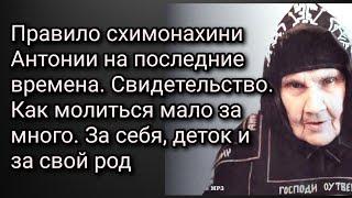 Правило схим. Антонии на последние времена. Как молиться мало за много. За себя, деток и за свой род