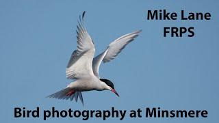 Bird Photography at RSPB Minsmere